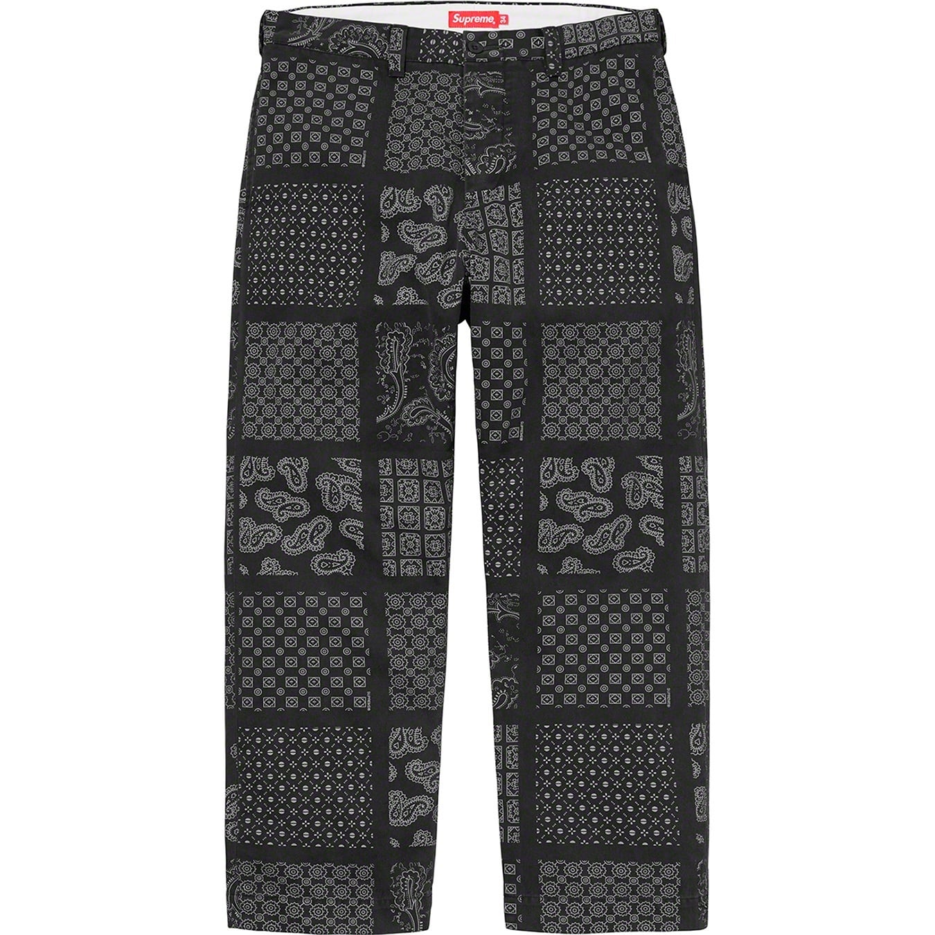 Paisley Grid Chino Pant view 2